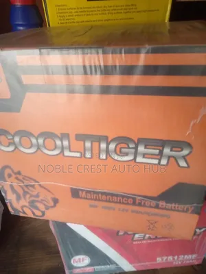 Cooltiger 80ah Battery for Car