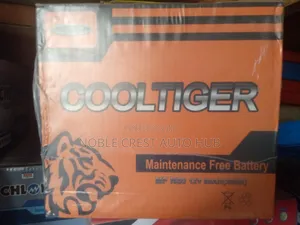 Cooltiger 80ah Battery for Car