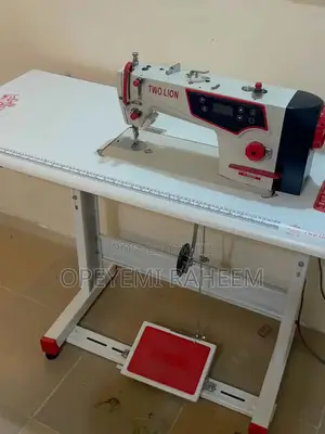 Two Lion Direct Drive Industrial Sewing Machine