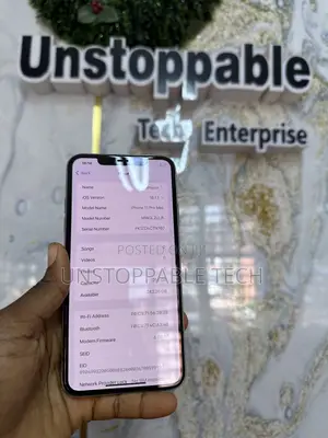 Apple iPhone 11 256 GB Gray