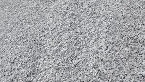 Chipping Active 247