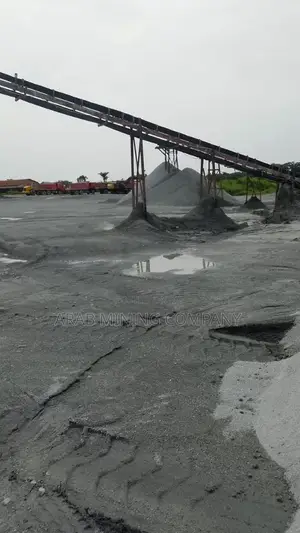 Chipping Active 247