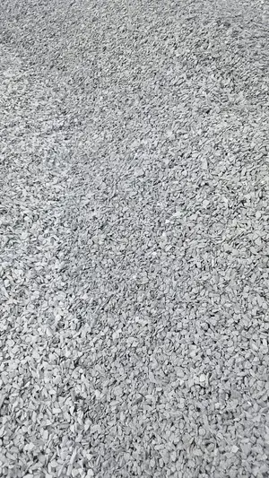 Chipping Active 247
