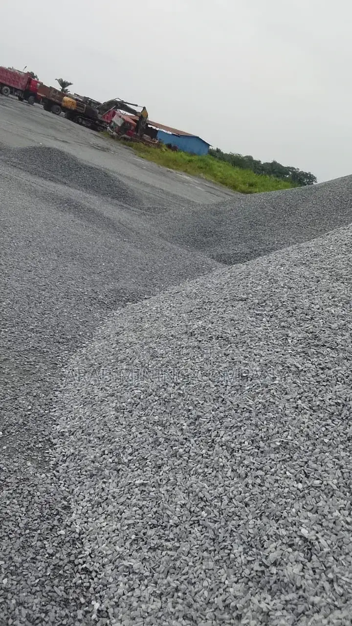 Chipping Active 247