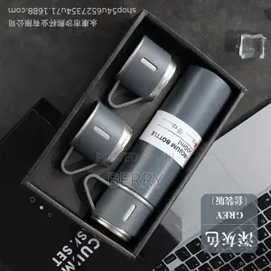 Stainless Steel Vacuum Bottle
