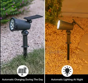 Solar Outdoor Light