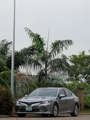 Toyota Camry LE (2.5L 4cyl 8A) 2019 Silver