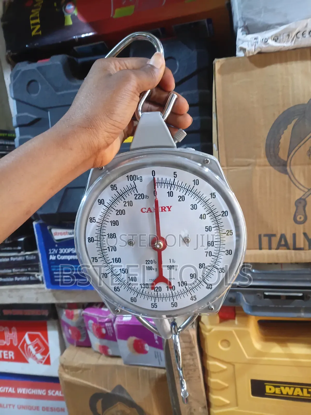 Camry 100kg Analog Hanging Scale
