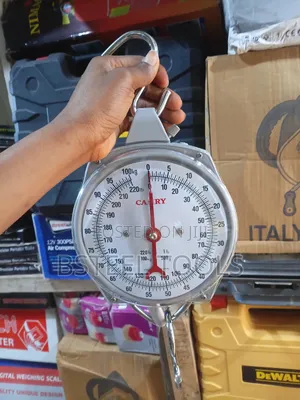 Camry 100kg Analog Hanging Scale