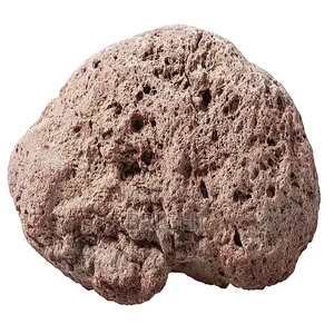Pumice Stones