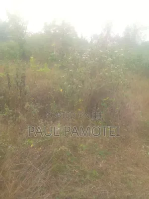 Prime Land For Sale