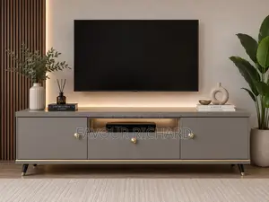 Classy Television Shelf