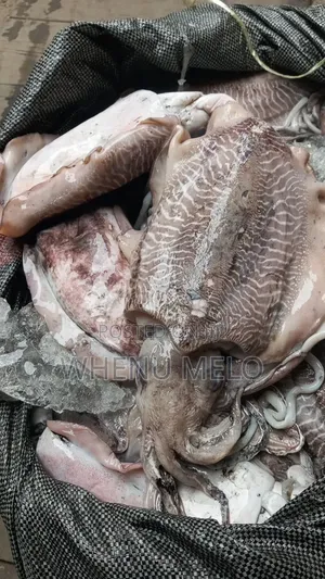 Prawns, Croaker and Squid