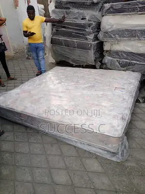 Asian Orthopaedic Spring Mattress