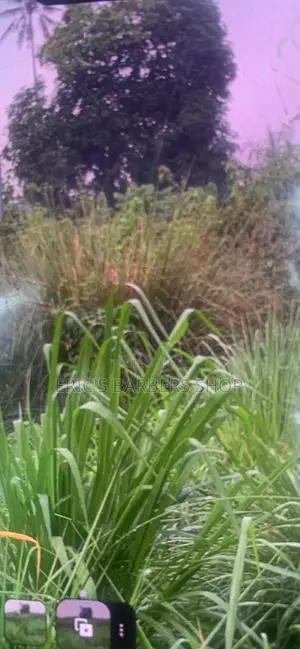 Land for Sell in Epe