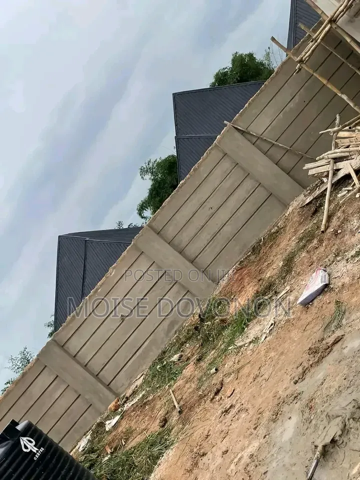 The Professional in Masonry