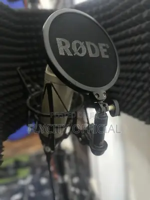 Rode Rode Studio Microphone Nt2a.