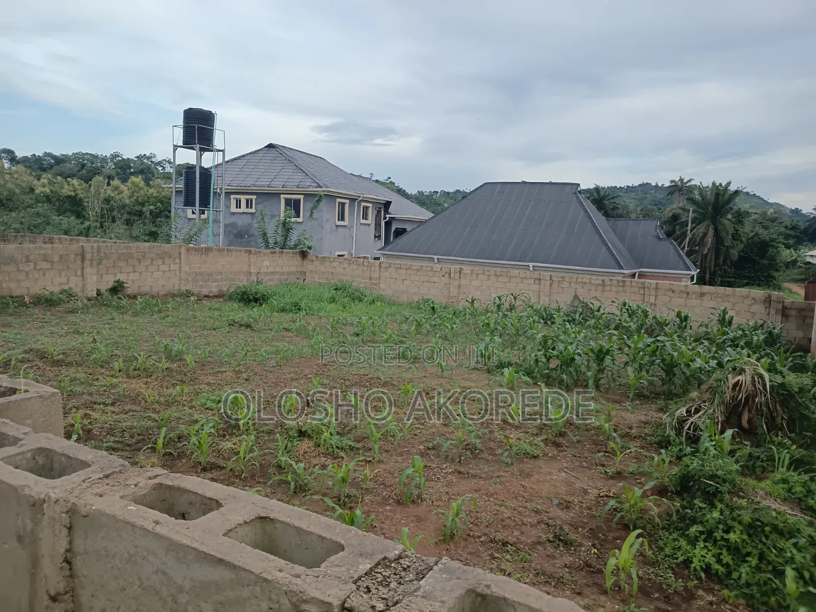 Shop With Land 1 Plot