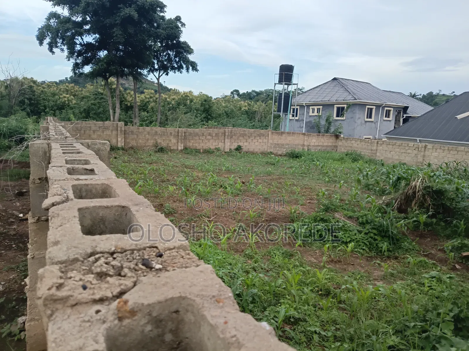 Shop With Land 1 Plot