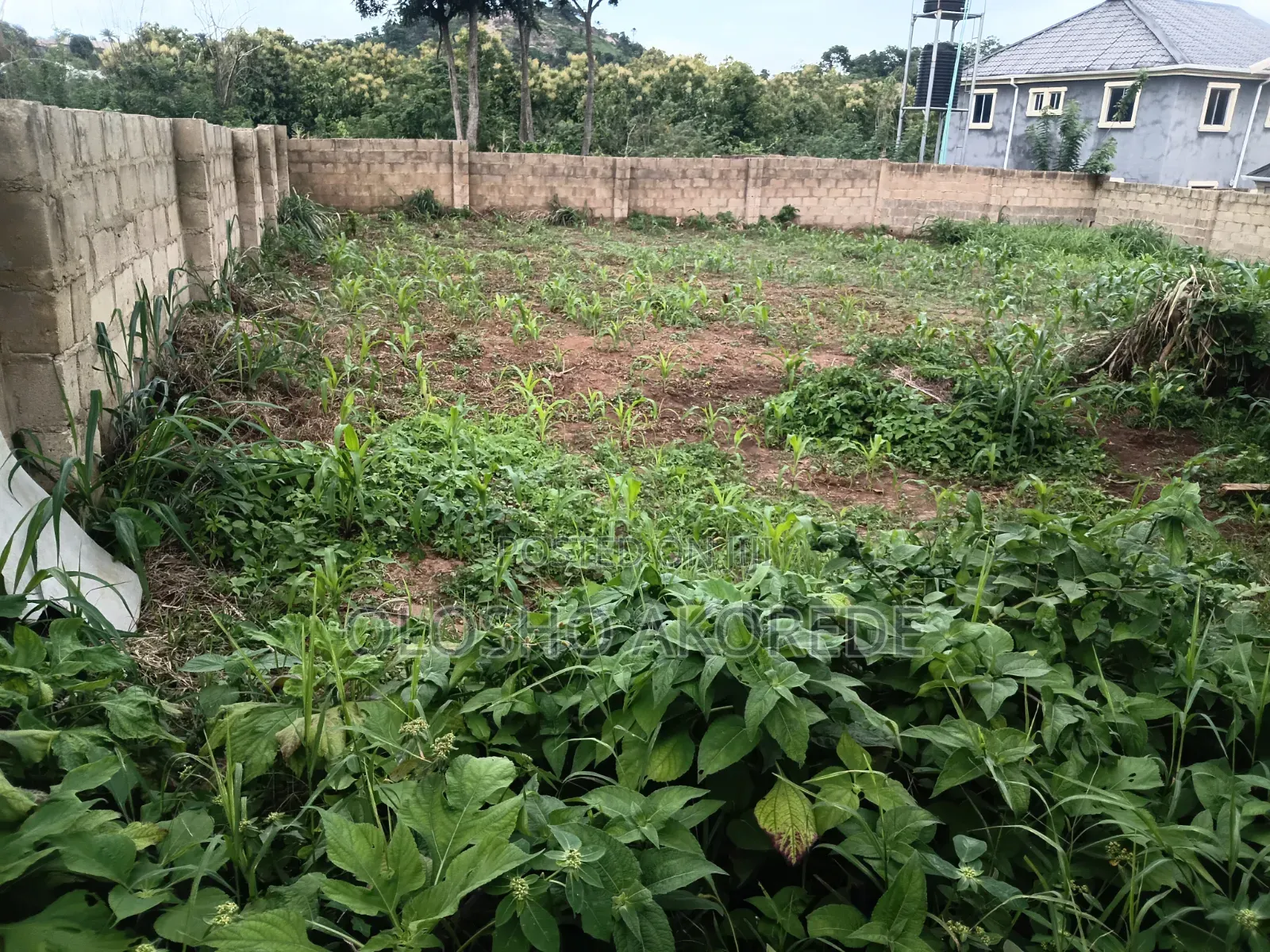 Shop With Land 1 Plot
