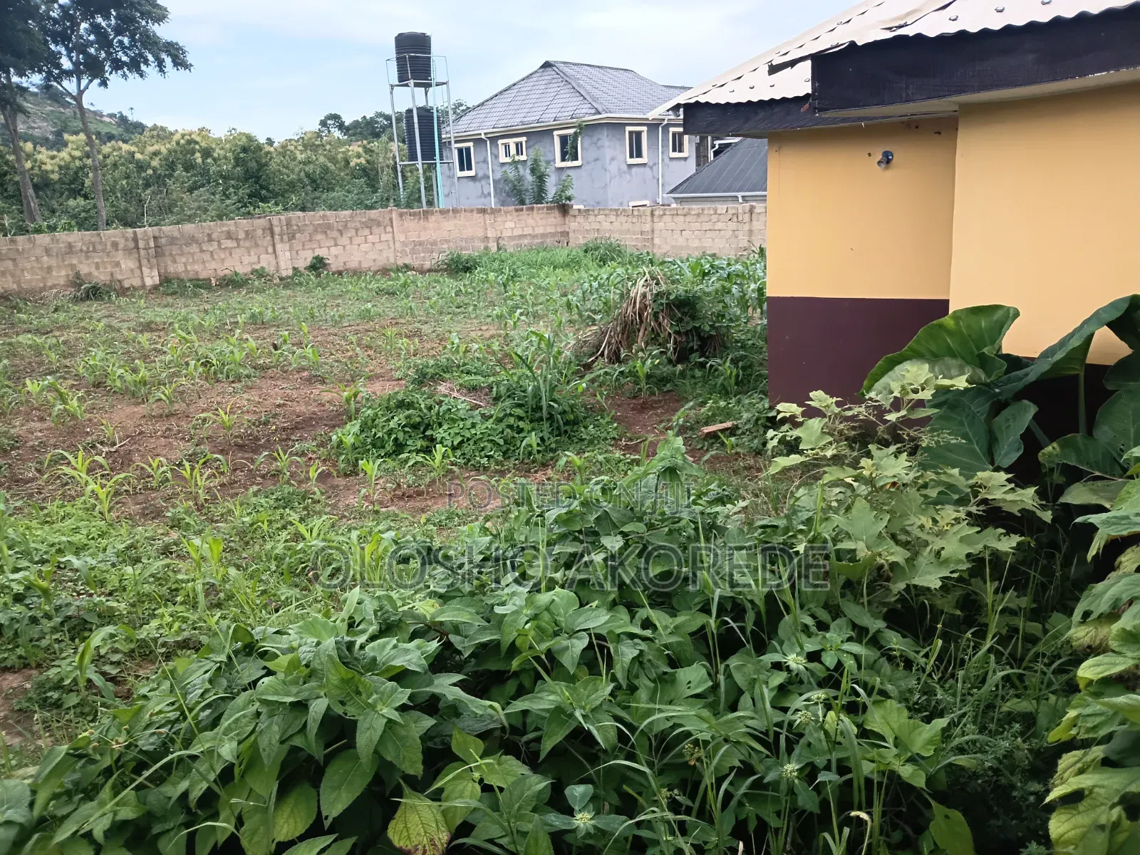 Shop With Land 1 Plot