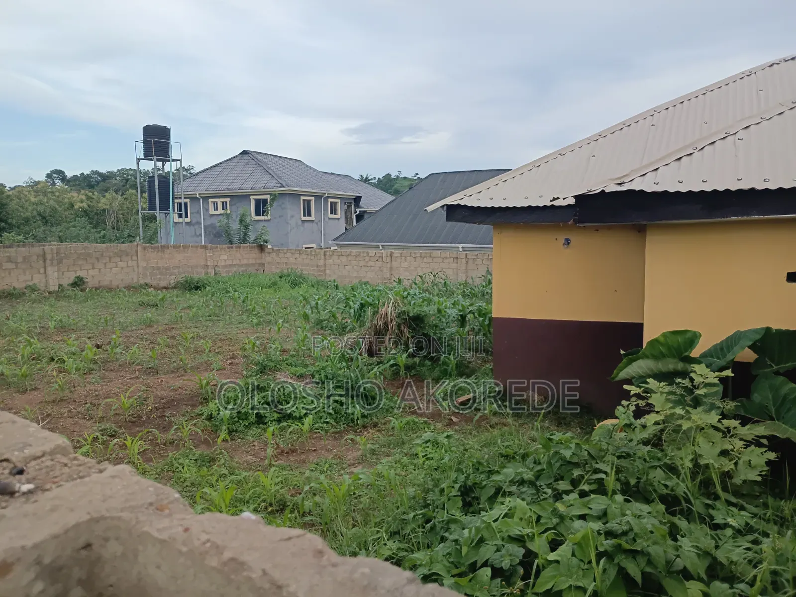 Shop With Land 1 Plot