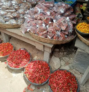 Fresh Tomatoes, Peppers and Onions Available for Bulk Sourcing