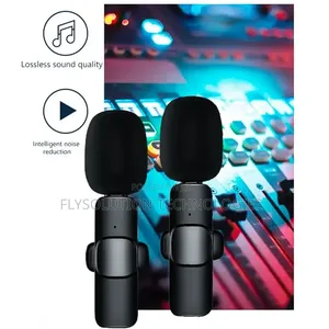 Double Mic With iPhone and Type C