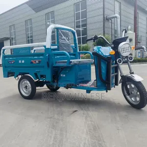 New Tricycle 2025 Blue
