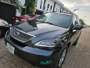 Lexus RX 330 2004 Gray