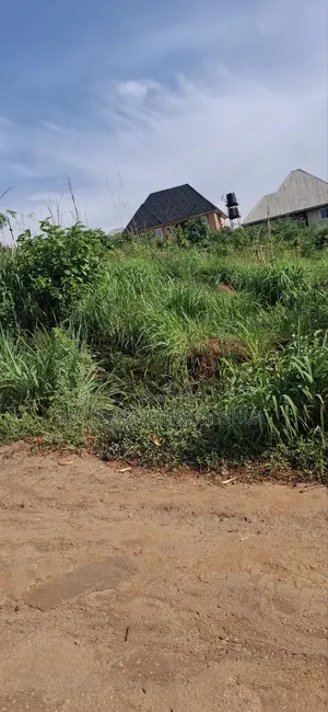 Land Is Gold