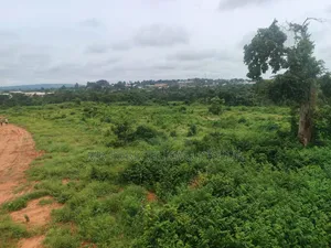 Affordable Estate Plot With Verified Documents