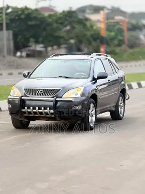 Lexus RX 2008 Gray