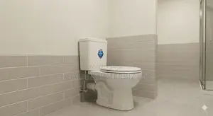 Modern Ceramic Water Closet Suite