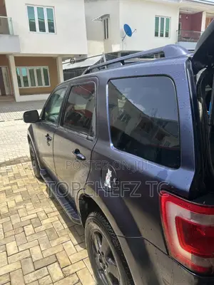 Ford Escape 2009 Blue