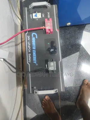 Cworth 3.8kwh 24v Lithium Battery