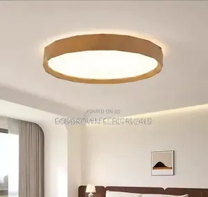 Modern Ceiling Light