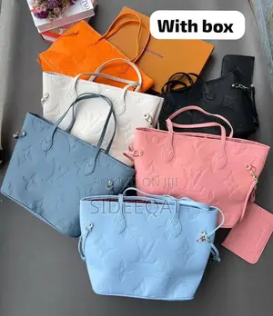 Louis Vuitton Bag