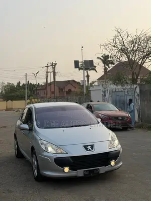 Peugeot 307 2007 Silver
