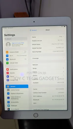 Apple iPad Pro 256 GB Silver