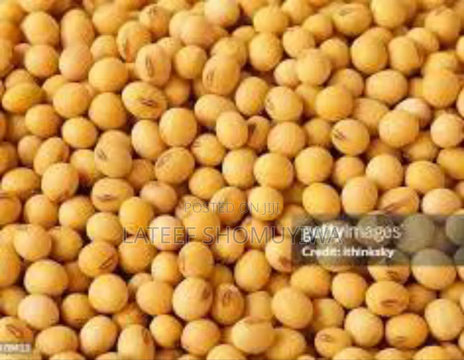 Soya Beans