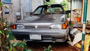 Nissan Sunny 1988 Gray