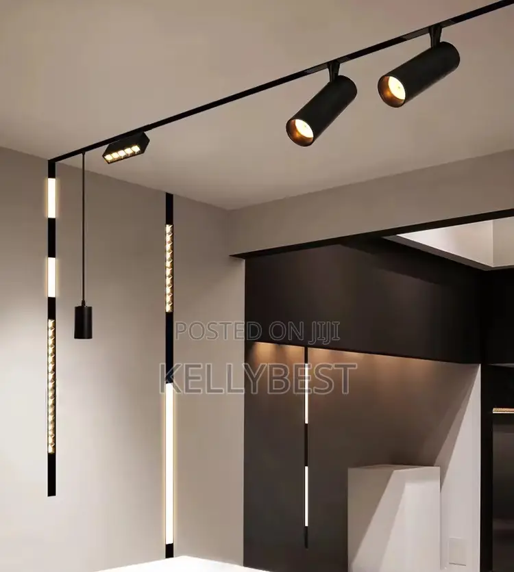 Magnetic Track Light