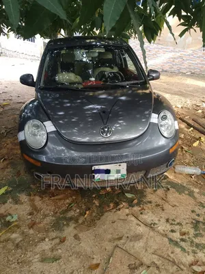 Volkswagen Beetle 2010 Gray