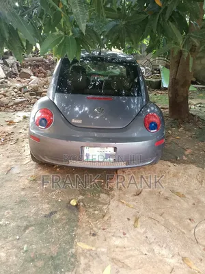 Volkswagen Beetle 2010 Gray