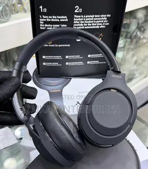 *Sony Noise Canceling Headset