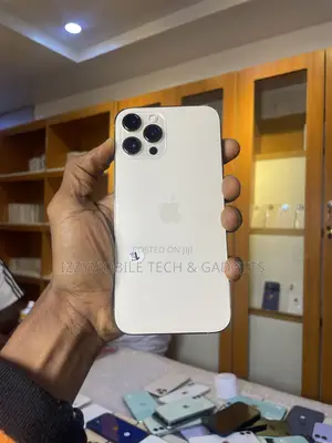 Apple iPhone 12 Pro Max 256 GB