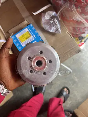 Complete Clutch Pulsar
