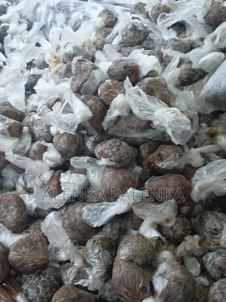 Iru Locust Beans