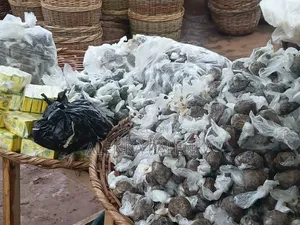 Iru Locust Beans